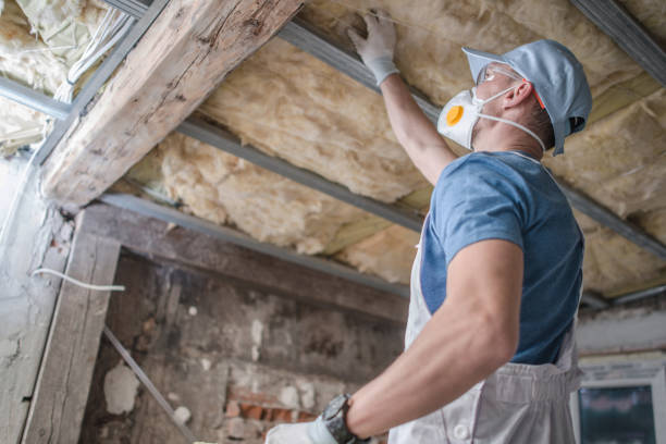 Best Types of Insulation in Lake Forest Park, WA