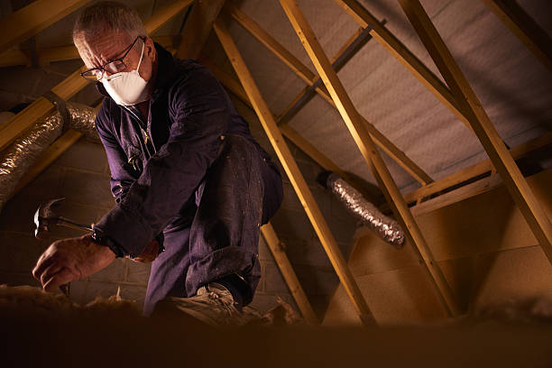Best Insulation Materials and Products in Lake Forest Park, WA